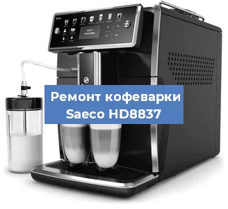Замена прокладок на кофемашине Saeco HD8837 в Нижнем Новгороде